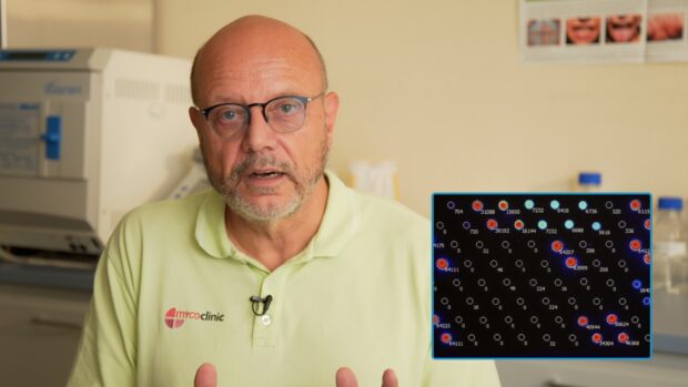 PCR Diagnostik als Therapieverlaufskontrolle